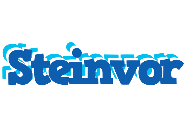 Steinvor business logo