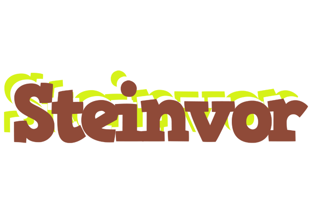 Steinvor caffeebar logo