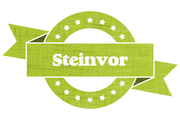 Steinvor change logo