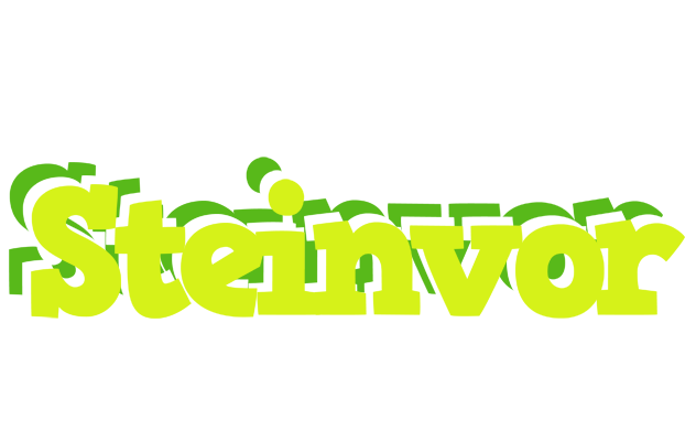 Steinvor citrus logo