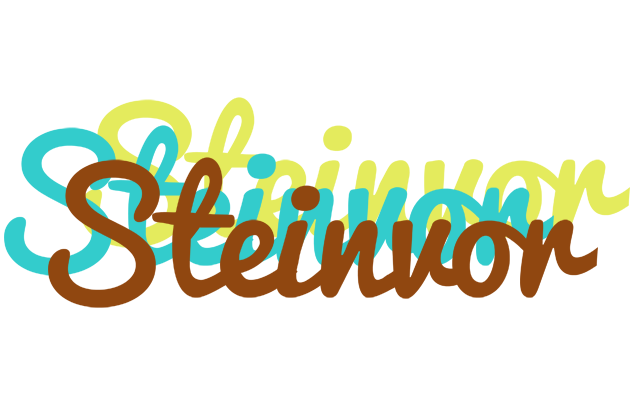 Steinvor cupcake logo