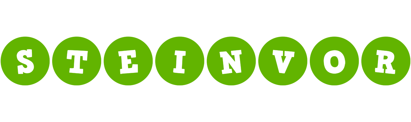 Steinvor games logo