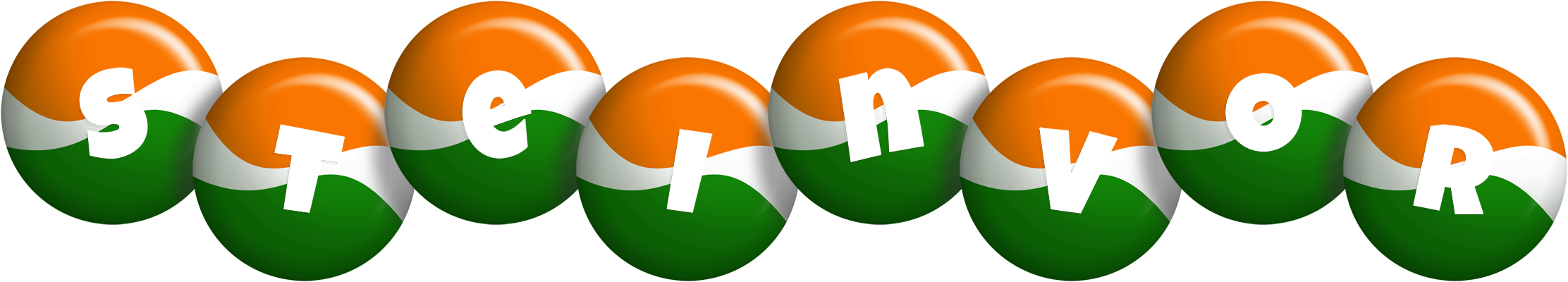 Steinvor india logo