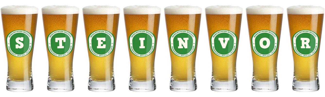 Steinvor lager logo