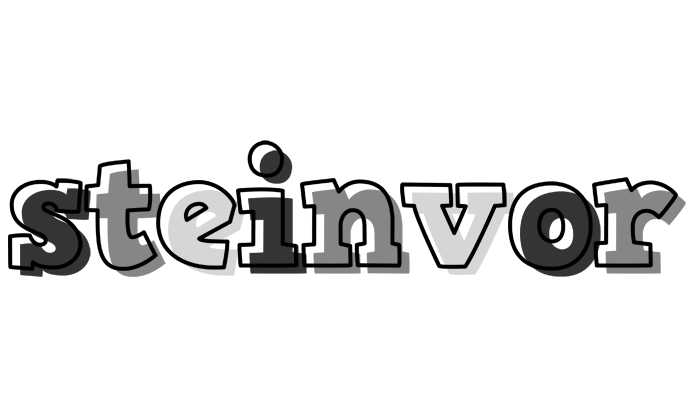 Steinvor night logo