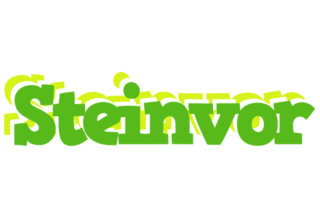 Steinvor picnic logo