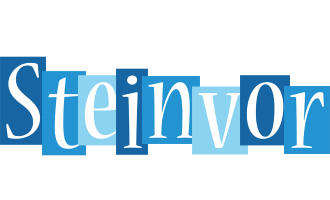 Steinvor winter logo
