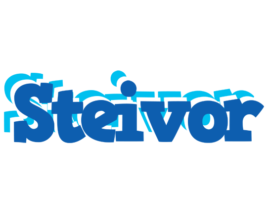 Steivor business logo