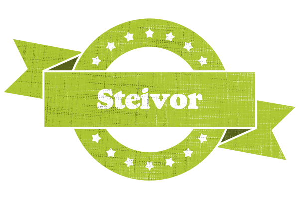 Steivor change logo