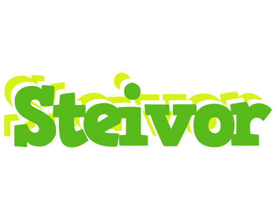 Steivor picnic logo