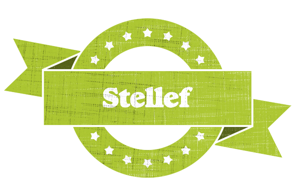 Stellef change logo