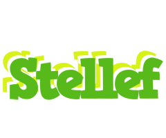 Stellef picnic logo