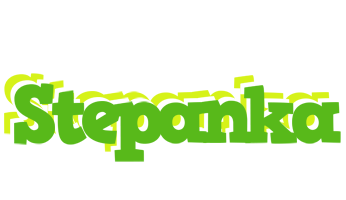 Stepanka picnic logo