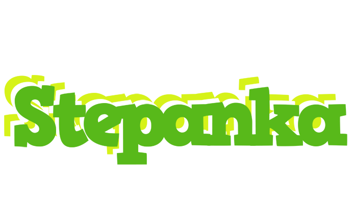 Stepanka picnic logo