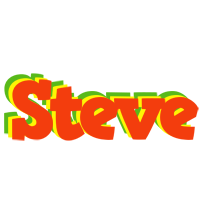 Steve bbq logo