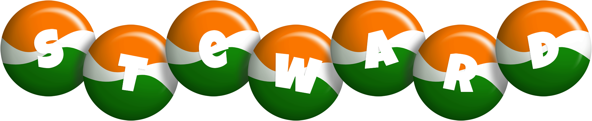Steward india logo