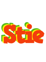 Stie bbq logo