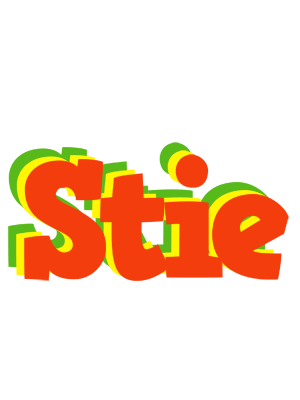 Stie bbq logo