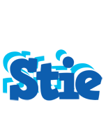 Stie business logo