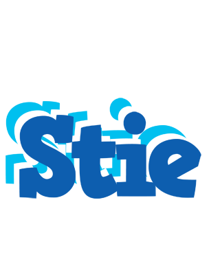 Stie business logo