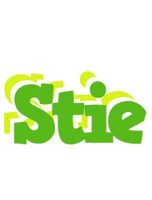 Stie picnic logo