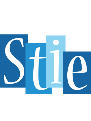 Stie winter logo