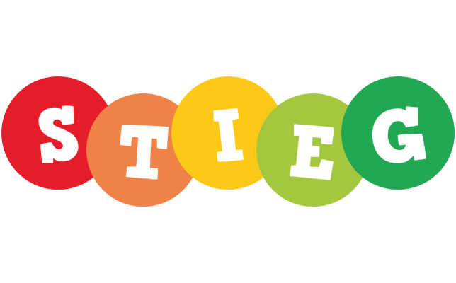 Stieg boogie logo