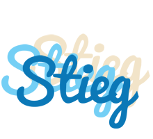 Stieg breeze logo