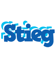 Stieg business logo