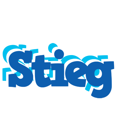 Stieg business logo