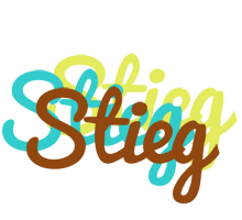 Stieg cupcake logo