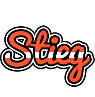 Stieg denmark logo