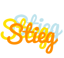 Stieg energy logo