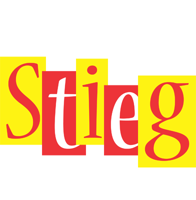Stieg errors logo