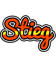 Stieg madrid logo