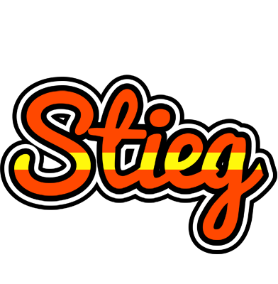 Stieg madrid logo