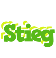 Stieg picnic logo