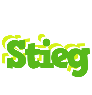 Stieg picnic logo