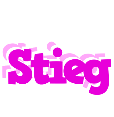 Stieg rumba logo
