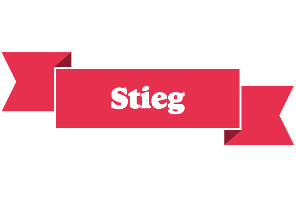 Stieg sale logo