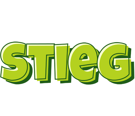 Stieg summer logo