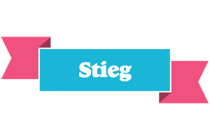 Stieg today logo