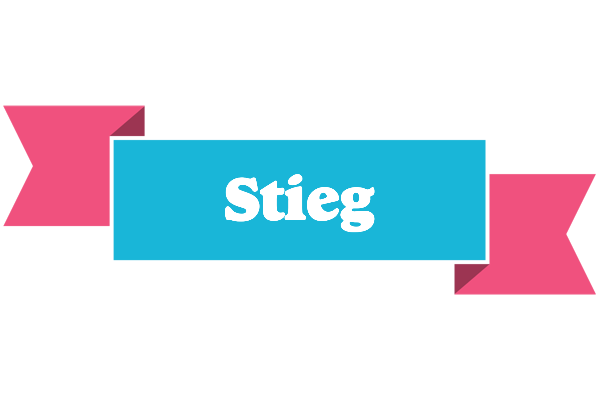 Stieg today logo