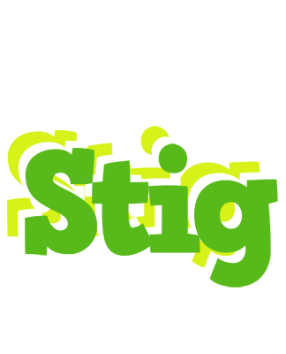 Stig picnic logo