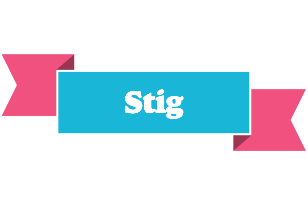 Stig today logo