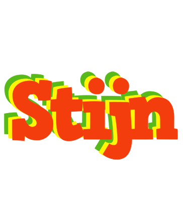 Stijn bbq logo