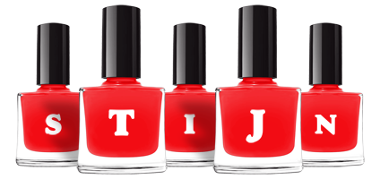 Stijn fashion logo