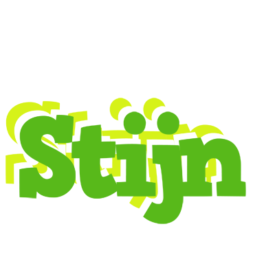 Stijn picnic logo