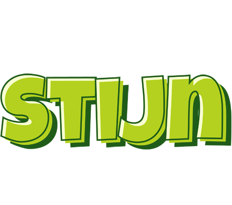 Stijn summer logo