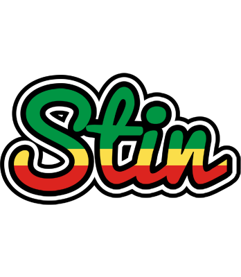 Stin african logo